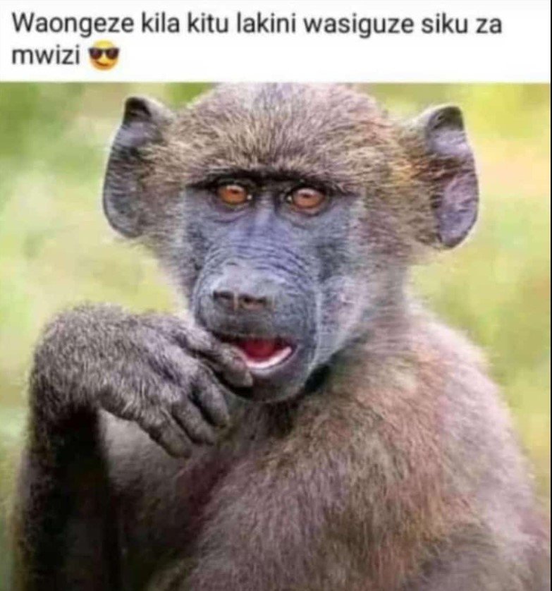 Waongeze kila kitu lakini wasiguze siku za mwizi