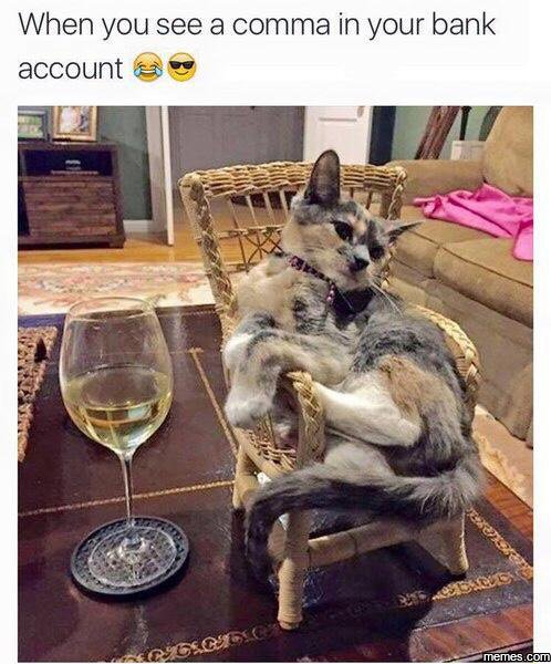 When you see a comma in your bank account memes