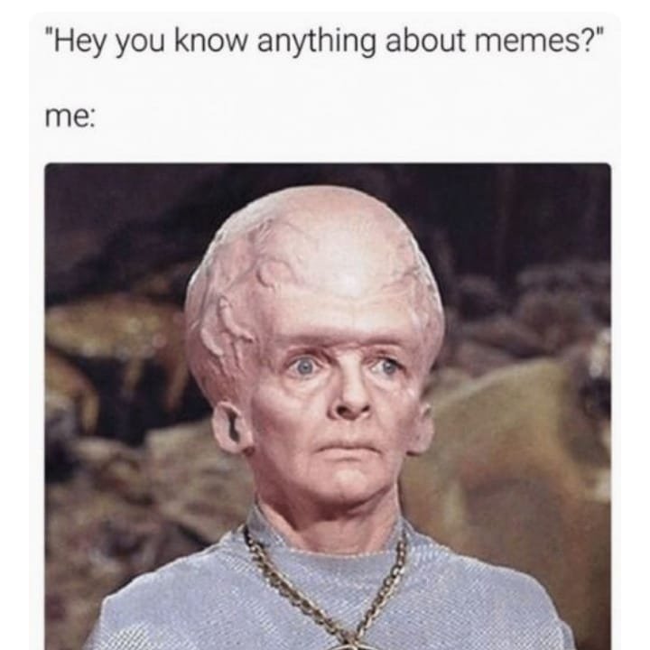 Hey you know anything about memes? me