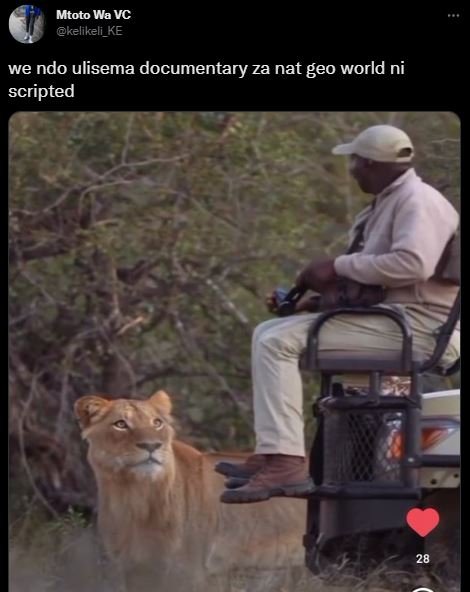 Mtoto wa vc kelikeli_ke we ndo ulisema documentary za nat geo world ni scripted