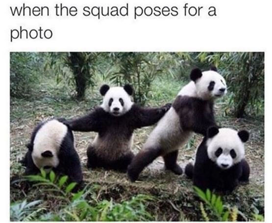 When the squad poses for a photo