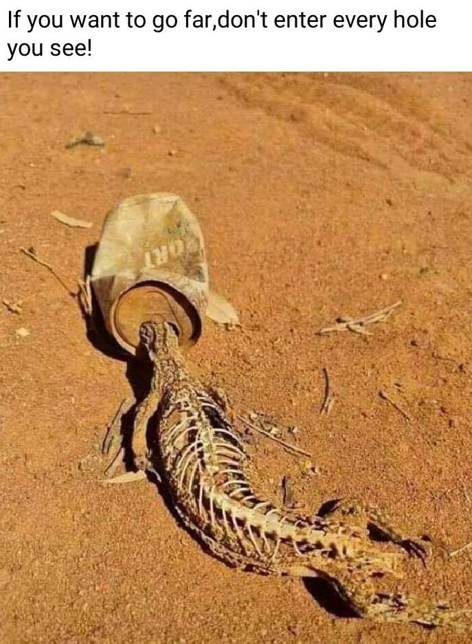 If you want to go fardon't enter every hole you see! w