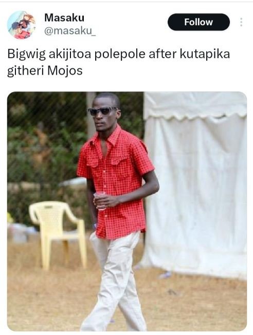 Masaku masaku follow bigwig akijitoa polepole after kutapika githeri mojos