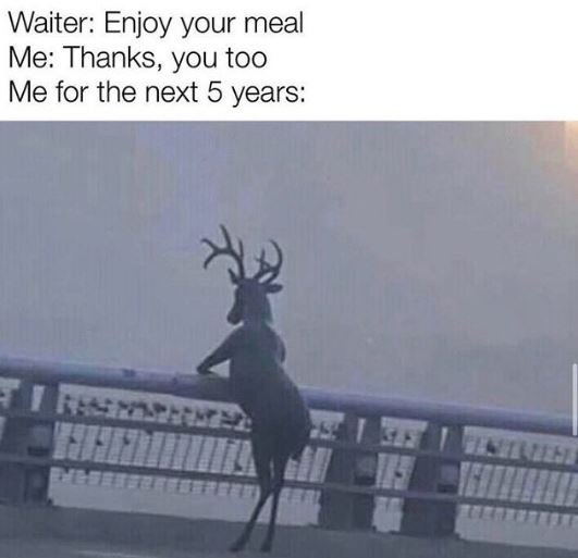 Waiter enjoy your meal me thanks you too me for the next 5 years 7
