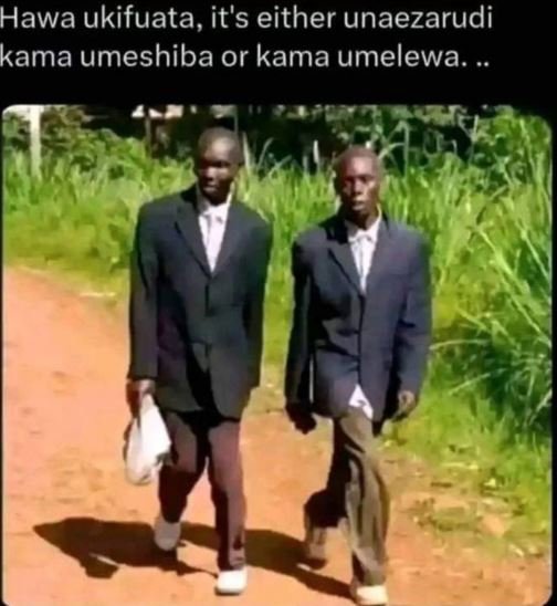 Hawa ukifuata it's either unaezarudi kama umeshiba or kama umelewa.