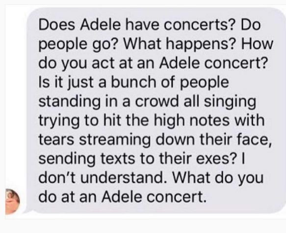 Does adele have concerts? do people go? what happens? how do you act at an adele