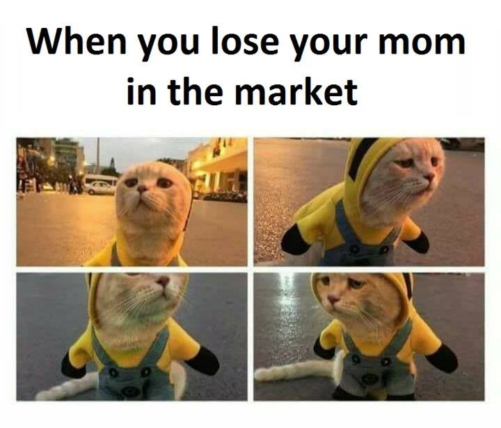 When you lose your mom in the market