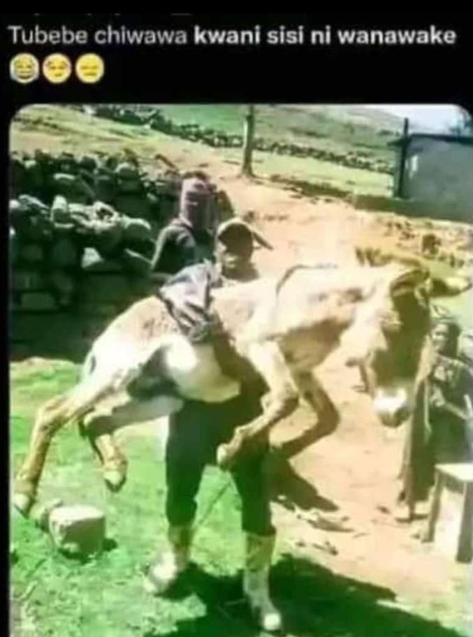 Tubebe chlwawa kvani sisi nl wanawake