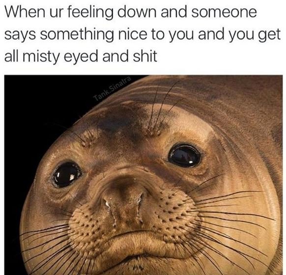 When ur feeling down and someone says something nice to you and you get all mist