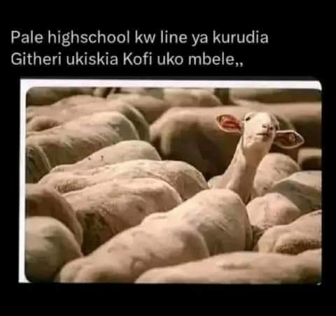 Pale highschool kw line ya kurudia githeri ukiskia kofi uko mbele