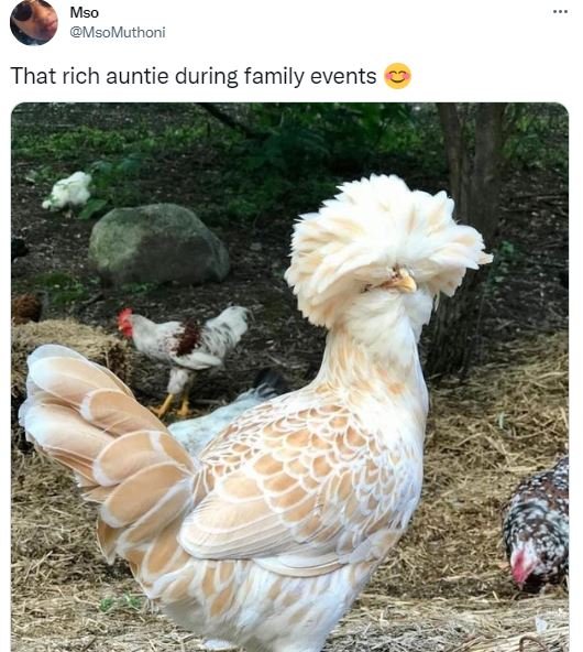 Mso msomuthoni that rich auntie during family events