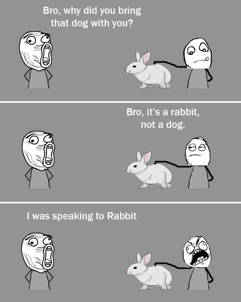 Bro, why did you bring that dog with you? bro, it's a rabbit, not a dog 1was spe