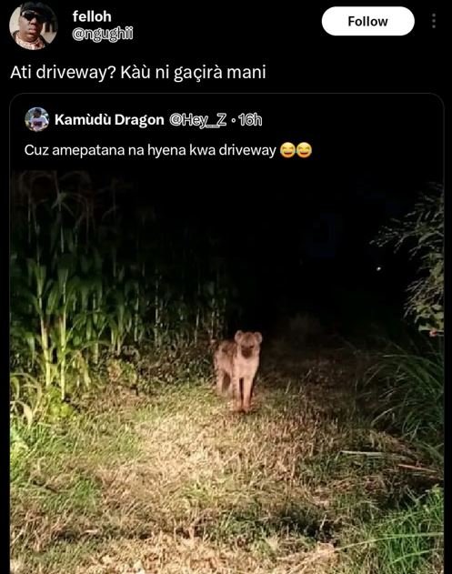 Felloh ngughf follow ati driveway? kàà ni gaçirà mani kamudà dragon hy z ' 16h c