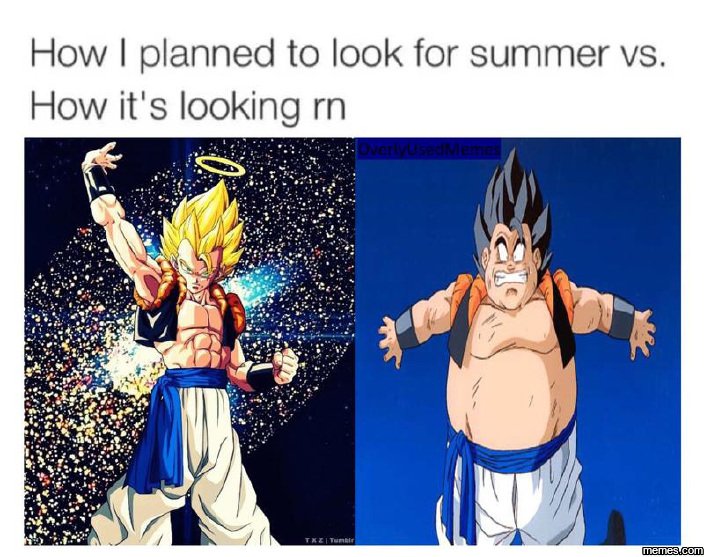 How planned to look for summer vs. how it's looking rn jems