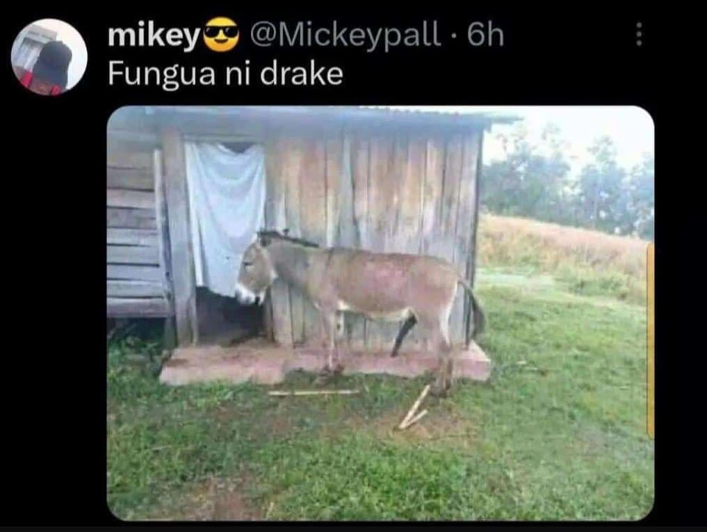 M ikey mickeypall 6h fungua ni drake