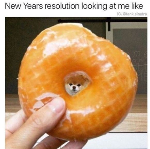 New years resolution looking at me like 16 anksinalra