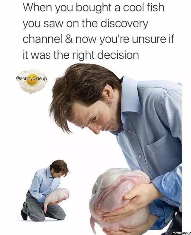 When you bought a cool fish you saw on the discovery channel now you're unsure i