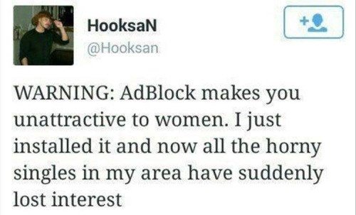 Hooksan hooksan warning adblock makes you unattractive to women. i just installe