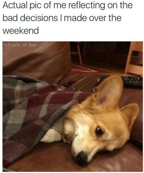 Actual pic of me reflecting on the bad decisions made over the weekend frlend oi