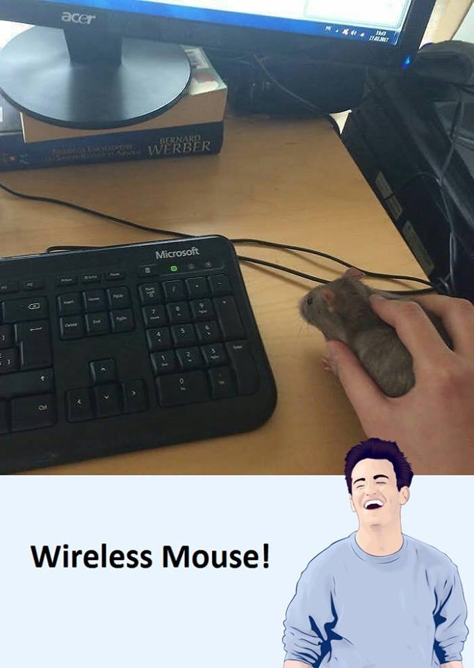 Wfrbpr wireless mouse! acer microsoit