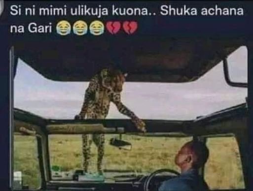 Si ni mimi ulikuja kuona.. shuka achana na gari