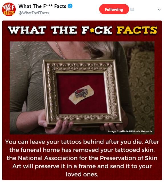 What the f facts cts whattheffacts following what the f ck facts 17n7g credits h