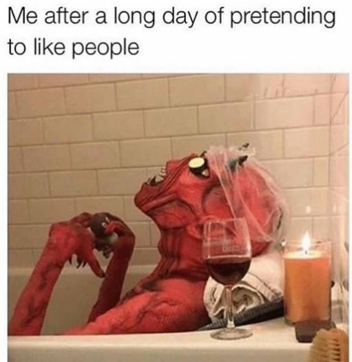 Me after a long day of pretending to like people