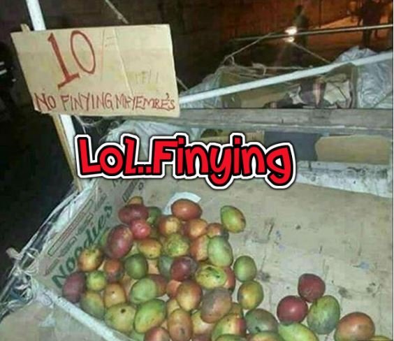 J0 no finyiag mfemre lougichg 2