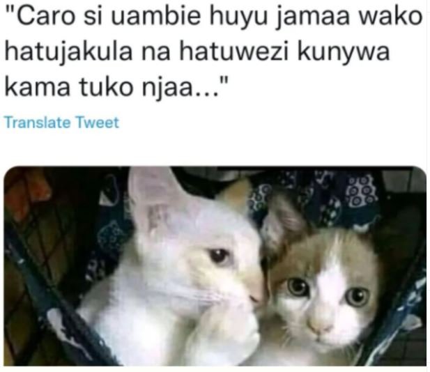 Caro si uambie huyu jamaa wako hatujakula na hatuwezi kunywa kama tuko njaa_ Tra