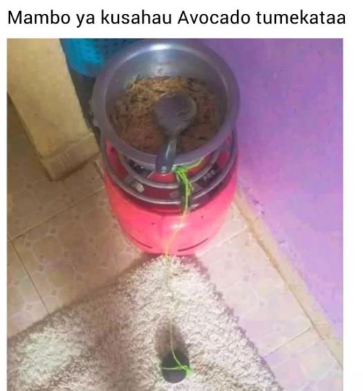 Mambo ya kusahau Avocado tumekataa