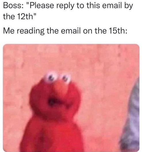 Boss please reply to this email by the 12th me reading the email on the 15th