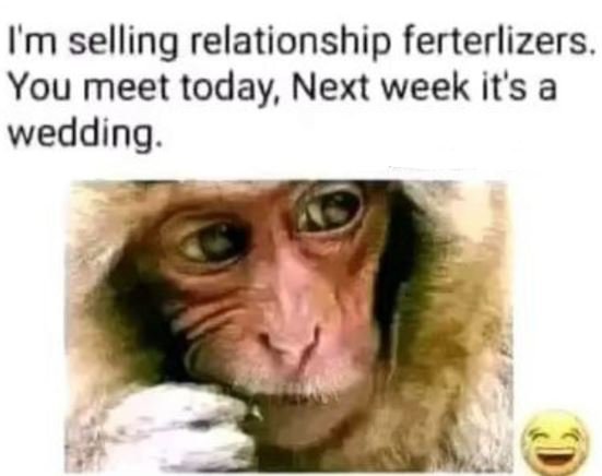 Im selling relationship ferterlizers. you meet today next week its a wedding