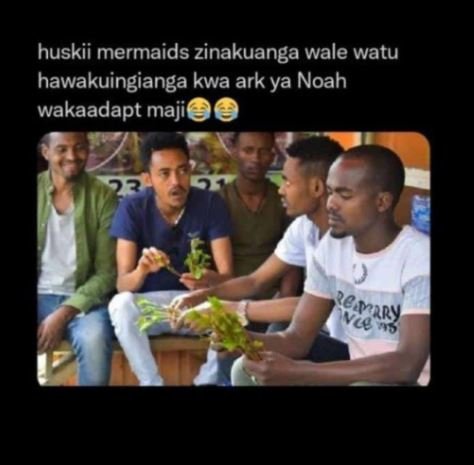 Huskii mermaids zinakuanga wale watu hawakuingianga kwa ark ya noah wakaadapt ma