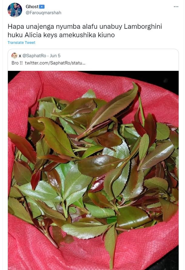 Ghost farouqmarshah hapa unajenga nyumba alafu unabuy lamborghini huku alicia ke