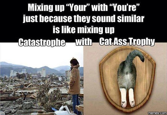 Mixing up your with you're just because they sound similar is like mixing up cat