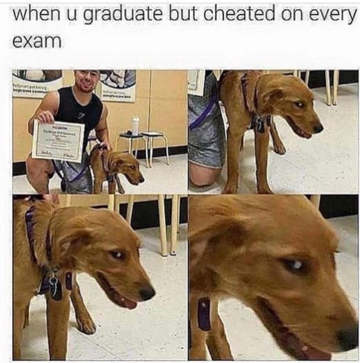 When u graduate but cheated on every exam