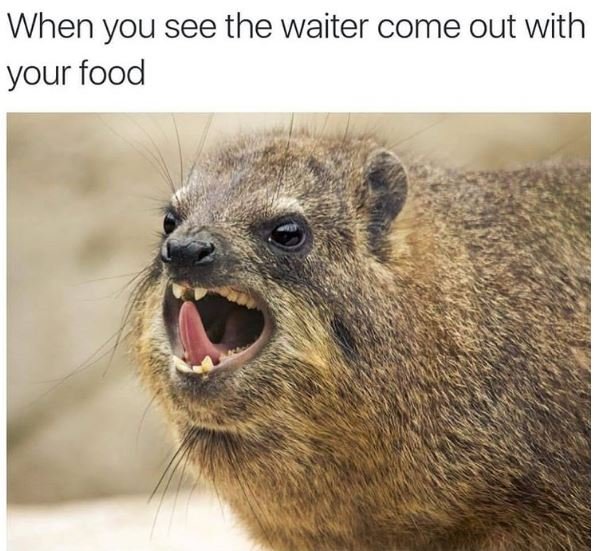 When you see the waiter come out with your food