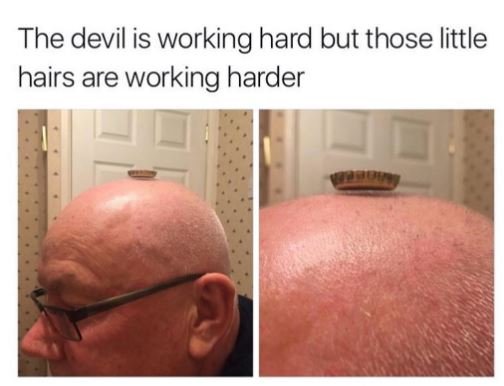The devil is working hard but those little hairs are working harder