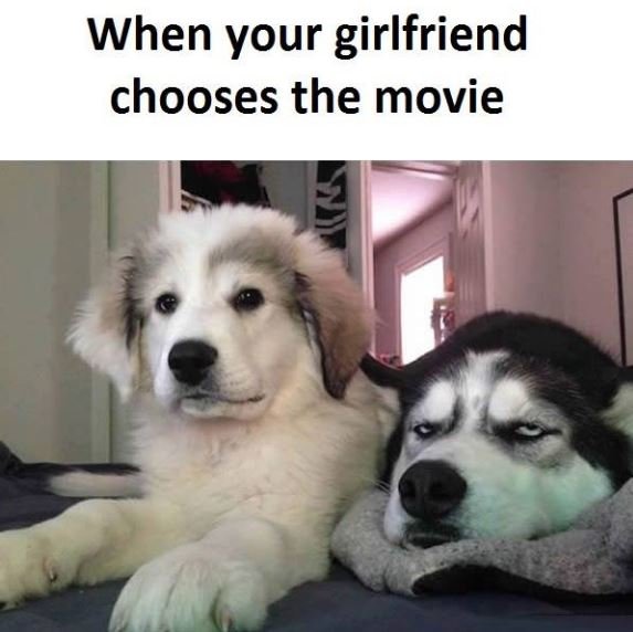When your girlfriend chooses the movie