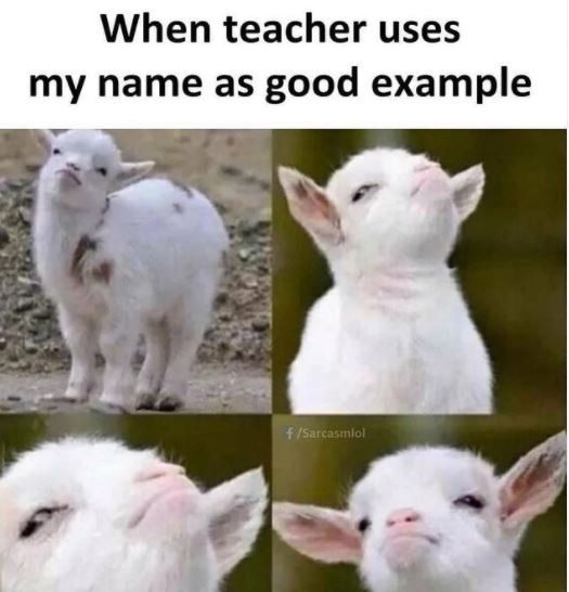 When teacher uses my name as good example flSarcasmlol