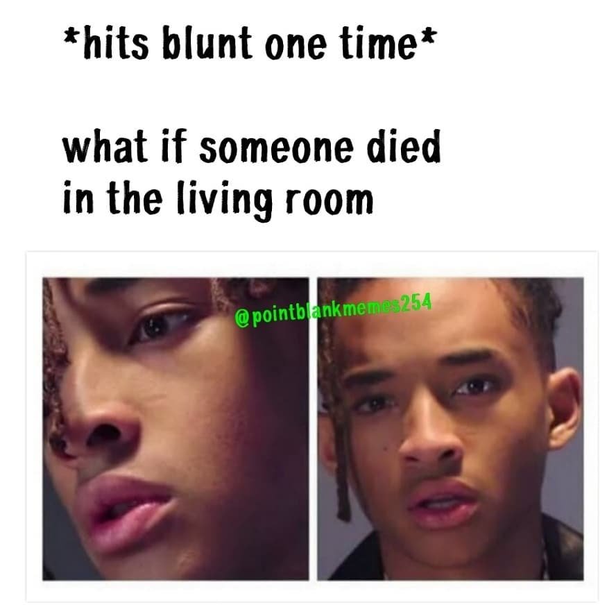 Hits blunt one time what if someone died in the living room pointblankmeme3254