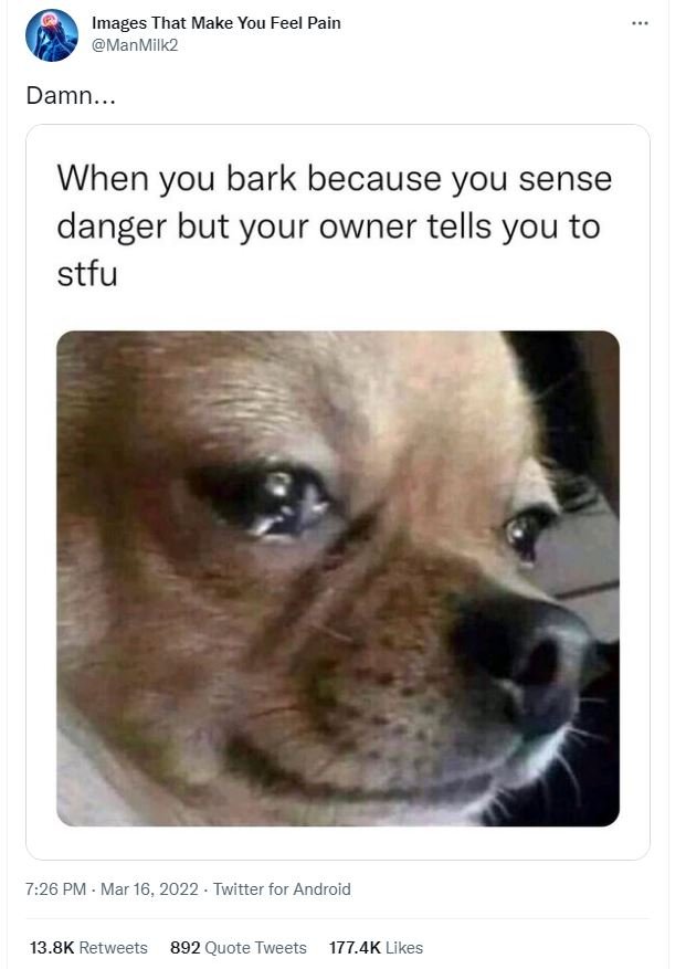 Images that make you feel pain manmilk2 damn. when you bark because you sense da