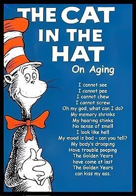 The cat in the hat on aging conrog connof pee canno chew connot screv oh my god,