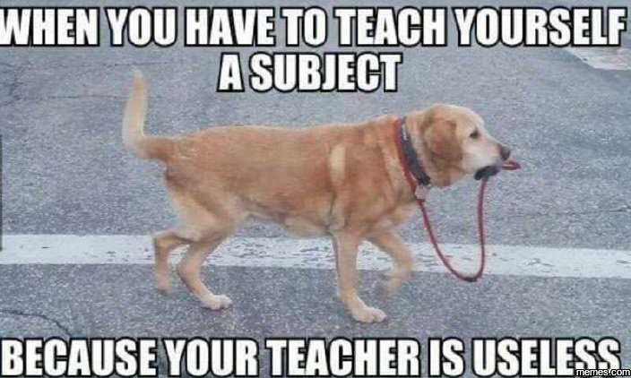 Mhenyouhavetoteachyoursezf subiect becauseyour teacherisusezess memescom