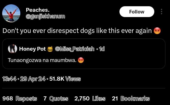 Peaches. ujiskhanum follow don't you ever disrespect dogs like this ever again h