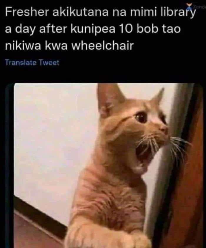 Fresher akikutana na mimi library a day after kunipea 10 bob tao nikiwa kwa whee