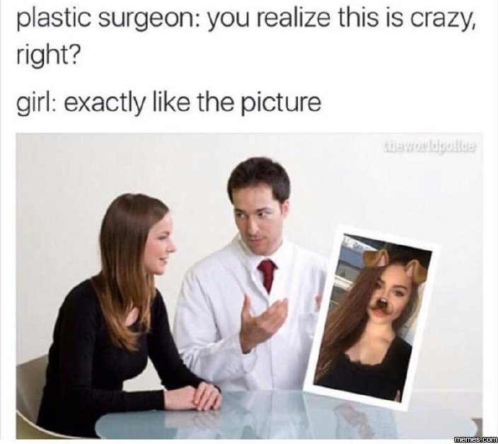 Plastic surgeon you realize this is crazy right? girl exactly like the picture '