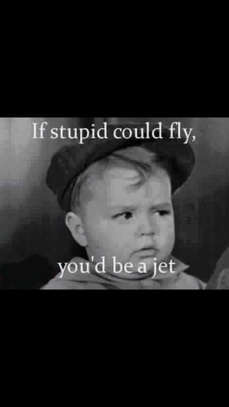 If stupid could fly, you'd be a jet