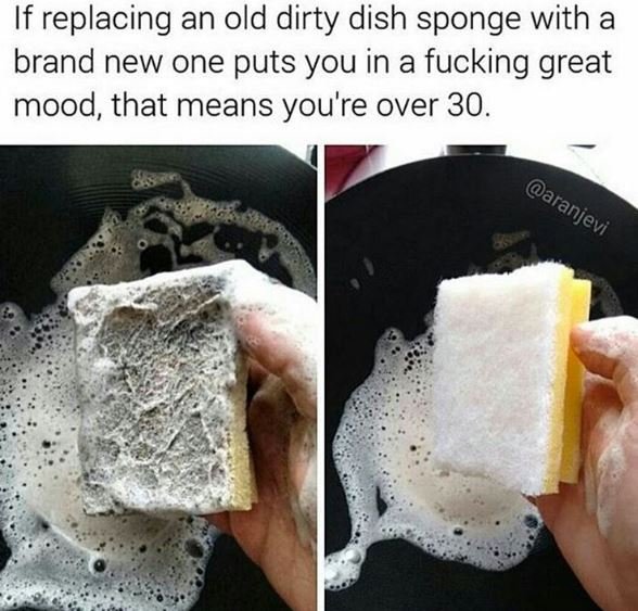 If replacing an old dirty dish sponge with a brand new one puts you in a fucking
