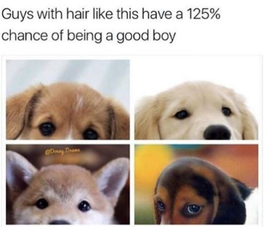 Guys with hair like this have a 125 chance of being a good boy gd dues